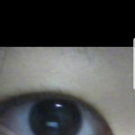 내 눈 <b>무쌍</b>인가?
