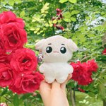 [우리태용님] <b>ae</b>-태용