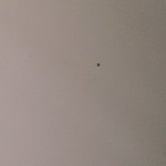 천장에 <b>무당벌레</b> 살음