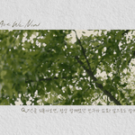 7주년 맞은 마마무가 팬들에게 하고픈 말