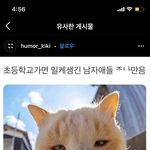 [추반] 살 다 가슴으로 <b>vs</b> 살 맘대로 뺄수있는