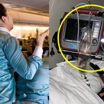 망상 추반 ㄱㄱ