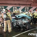 [이것좀봐줘] 여러분들의 관심과 청원이 필요합니다.