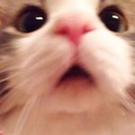 [댓글부탁해] 야 <b>gs</b>편의점이 남혐기업임..?