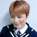 [펜타곤] 얘드라 진짜 나이를 속인게 아닐까?