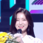 짤하나 <b>아린</b>