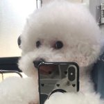 [NCT즌] ㅈㅔㅇ우 버블 셀카 <b>유출</b>합니다