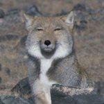 지금 고3인데 망<b>테크</b> 타는 중ㅋㅋ