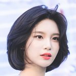 내 <b>여돌취향</b> 소나무임?