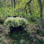 [세븐틴] 야 근데 <b>보물</b> 예쁘긴하다