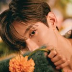 [세븐틴] 아 <b>이도겸</b> 나 왜 쳐다보세요?