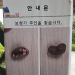 이거 ㄹㅇ이냐?