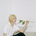 [세븐틴] 윤정한이랑 <b>장미</b> 뭐있냐