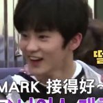 [NCT즌] 떨떠름하고 <b>머쓱</b>하지만 순발력 좋은 아기치타 볼 사람