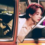 [세븐틴] 하니 <b>장미</b>보정만해도