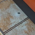 얘들아 이거 <b>바선생</b>임? 제발제발 귿해 삸려줘