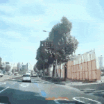 [NCT즌] ㅅㄷ 야 이거 봐 ㅈㄴ 무서움