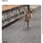 [NCT즌] 이이<b>잉잉</b> 해찬이이야 이거!