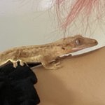 [모두드루와] 에스파 <b>숙소</b>에 새 식구 들어옴ㅋㅋ