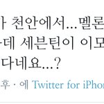 [세븐틴] 짹에서 가져옴