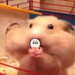 [댓글부탁해] 윤리적인 문제 뭐 있냐