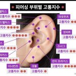 [드루와] 나 피어싱 어디 뚫을까?