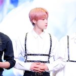 [더보이즈] <b>하네스</b> 차이 뭐야...