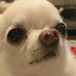 [19] 성인되기 싫은 <b>고삼</b> 나뿐이냐,,
