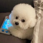 아니 <b>인티</b> 왜저래..?