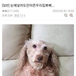 [드루와] 웃긴짤대<b>방출</b> 드루와