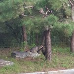 [더보이즈] 나 학교에서 김<b>서누</b> 봄