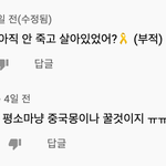 [댓글부탁해] (공론화부탁) 현재 남초 야갤 애들 악플 테러해서...