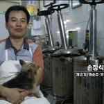 [이것좀봐줘] <b>미드</b> 프렌즈 감독이 한국에서 만든 다큐멘터리