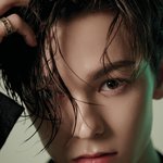 [세븐틴] 데뷔초 <b>한솔</b>이느낌