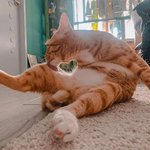 [ㅈㄱㄴ] 이중에서 추천하고싶은 향수있엉??!