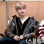 [더보이즈] 다들 멤버별 최애머리 뭐야