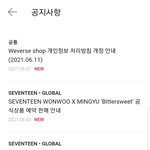 [세븐틴] 진짜 미안한데
