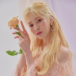 데뷔하고 첫 솔로 앨범내는 걸그룹 멤버