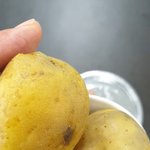 [다이어트중] 진짜 맛있는<b>감자</b> 대놓고 알려드림