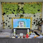 [강아지] [청원요청] 랑랑이 법을 만들어주세요.<동물실종방지법>