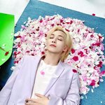 [세븐틴] <b>정한</b>이 화보장에서도