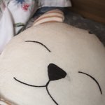 [NCT즌] 뭔가 내 <b>인형</b> 제노 닮은거같애