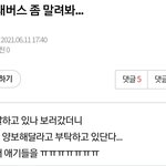 이게 일반팬들 반응임 <b>양보</b>플 작작 타