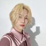 [세븐틴] <b>정한</b>이 이거완전 역대급