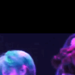 [NCT즌] <b>리듬</b>타는 태용