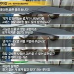 아미랑 타팬덤 화법차이 이거같음