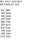 [NCT즌] 엔페스 포타 <b>개수</b>