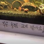 [이태용] <b>울</b> <b>애기</b>