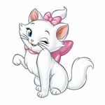 스테이씨팬들은 거의 다 <b>여초</b>야???