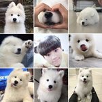 [NCT즌] 귀여운 거 놓고 <b>자러</b> <b>감</b>